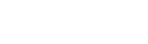 Logo new tries (2)